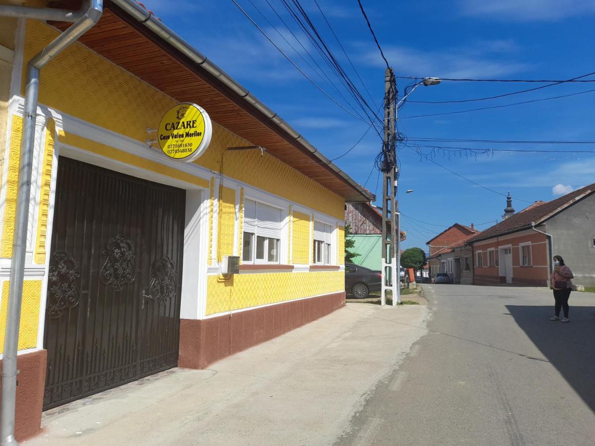 Casa Valea Morilor Casa de hóspedes Eftimie Murgu Exterior foto